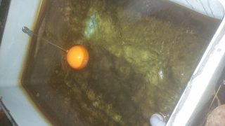 Cleaning a cold water tank