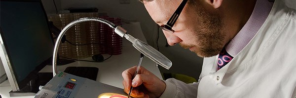 Legionella Testing And Analysis In Lab
